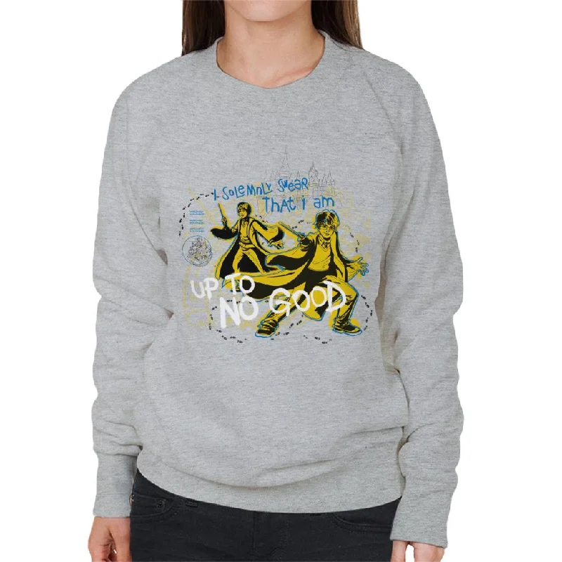 Harry Potter And Ron I Solemnly Swear I Am Up To No Good Women's Sweatshirt Hoodie with Illustration Artistic Creative Harry Potter And Ron I Solemnly Swear I Am Up To No Good Women's Sweatshirt Hoodie with Illustration Artistic Creative